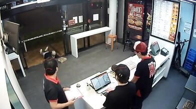 Pizza karma