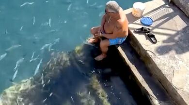 Rybář na Kanárských ostrovech už 20 let krmí divoké rejnoky: Obří mořské paryby mu plavou až k rukám