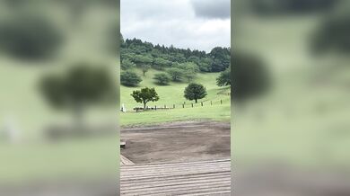 Pastevecký pes zahnal stádo stovek ovcí do ohrady za několik minut