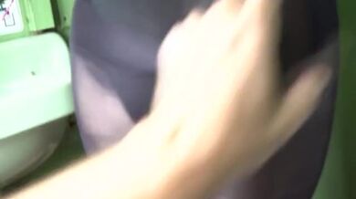 Šukání průvodčí ve vlaku