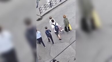 Ženu na přechodu v plném běhu srazil divoký srnec a pak utekl do lesa