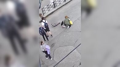Ženu na přechodu v plném běhu srazil divoký srnec a pak utekl do lesa