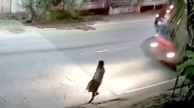 Známého pouličního žebráka srazilo auto, nyní bojuje o život v nemocnici