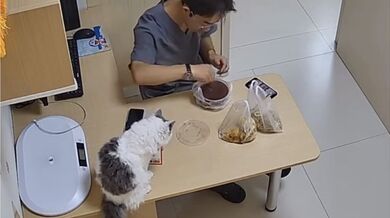 Obědová přestávka u veterináře