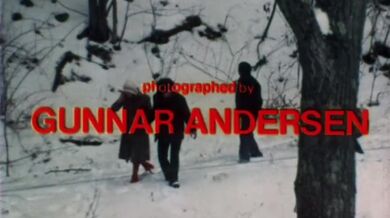 Incident na chatě (USA 1976, Suan Sloan, Bree Anthony)