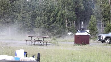 Rozzuřený bison vyhodil turistu dva metry do vzduchu a těžce ho zranil