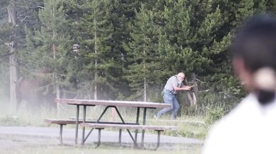 Rozzuřený bison vyhodil turistu dva metry do vzduchu a těžce ho zranil
