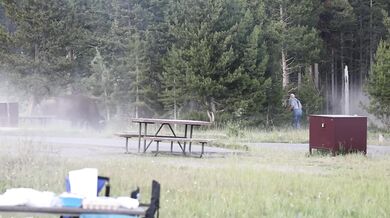 Rozzuřený bison vyhodil turistu dva metry do vzduchu a těžce ho zranil