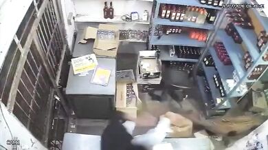 Divoce žijící levhart vtrhl do obchodu s alkoholem a napadl prodavače