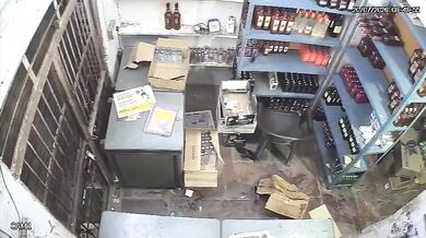 Divoce žijící levhart vtrhl do obchodu s alkoholem a napadl prodavače