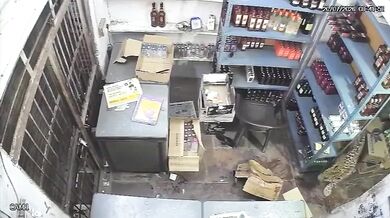 Divoce žijící levhart vtrhl do obchodu s alkoholem a napadl prodavače