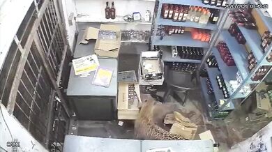 Divoce žijící levhart vtrhl do obchodu s alkoholem a napadl prodavače