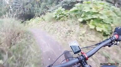 Setkání s medvědem #29