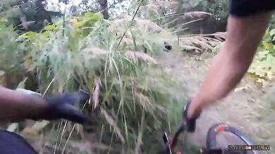 Setkání s medvědem #29