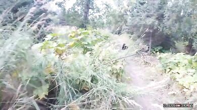 Setkání s medvědem #29