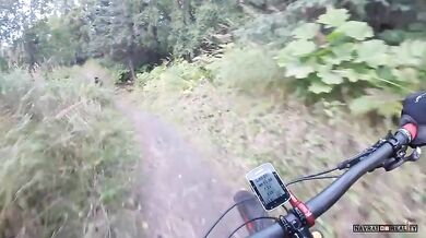 Setkání s medvědem #29