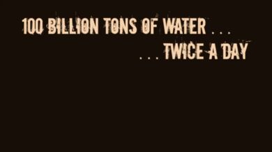 Příliv a odliv v Hopewell Rocks (timelapse)