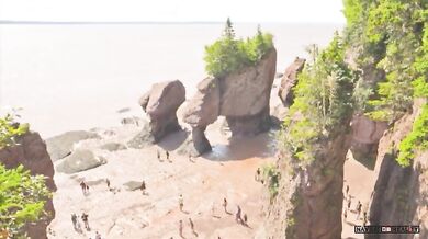 Příliv a odliv v Hopewell Rocks (timelapse)