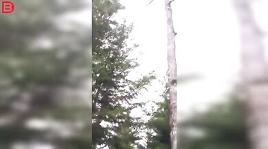 Setkání s medvědem #31