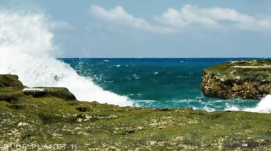 Krab vs. muréna a chobotnice