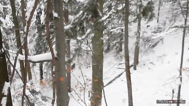 Vlci vs. medvědice s mláďaty