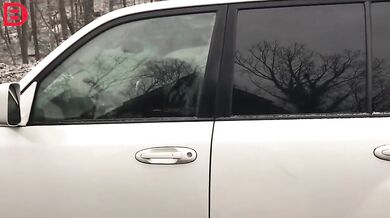 Setkání s medvědem #32