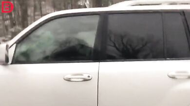 Setkání s medvědem #32