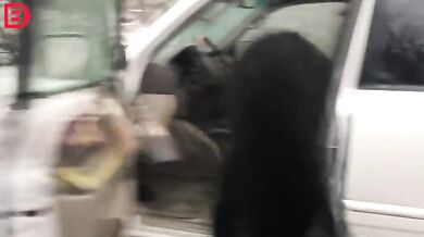 Setkání s medvědem #32