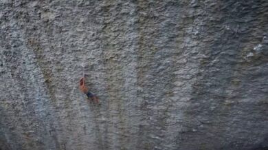 Red Bull Rewind - Best Of 2017