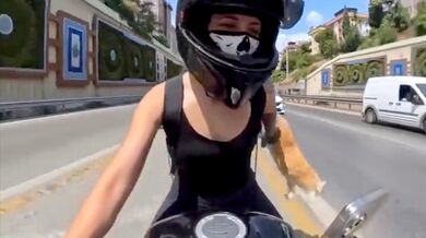 Motorkářka ztratila kočku za jízdy