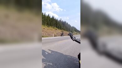 Střet motorkáře se zvěří