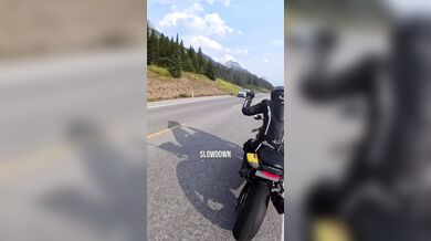 Střet motorkáře se zvěří