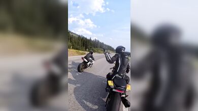 Střet motorkáře se zvěří