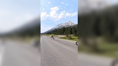 Střet motorkáře se zvěří