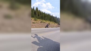 Střet motorkáře se zvěří