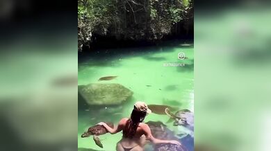 Útok mořské želvy na turistku: Žena chtěla zvíře pohladit v moři a skončila s kousancem