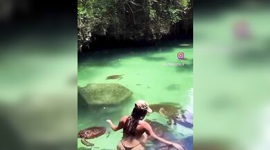 Útok mořské želvy na turistku: Žena chtěla zvíře pohladit v moři a skončila s kousancem