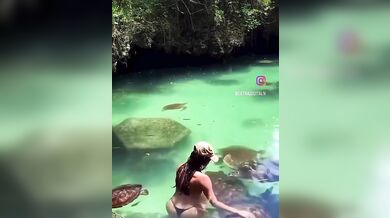 Útok mořské želvy na turistku: Žena chtěla zvíře pohladit v moři a skončila s kousancem