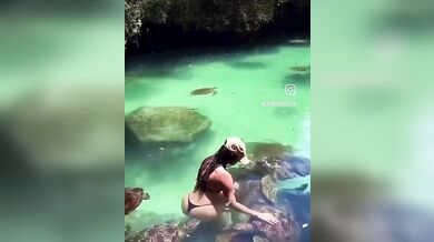 Útok mořské želvy na turistku: Žena chtěla zvíře pohladit v moři a skončila s kousancem