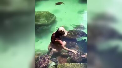 Útok mořské želvy na turistku: Žena chtěla zvíře pohladit v moři a skončila s kousancem