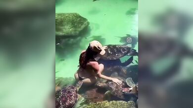 Útok mořské želvy na turistku: Žena chtěla zvíře pohladit v moři a skončila s kousancem