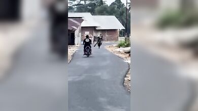 Wheelie na skútru zakončené v kanálu