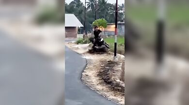 Wheelie na skútru zakončené v kanálu