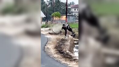 Wheelie na skútru zakončené v kanálu