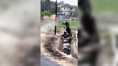 Wheelie na skútru zakončené v kanálu
