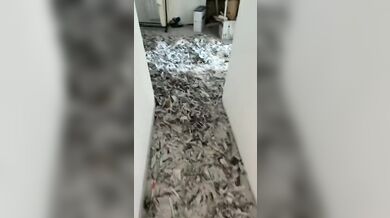Netradiční svatební žert ve Francii: Kamarádi naplnili dům ženicha papírem pomocí řezačky na krmivo