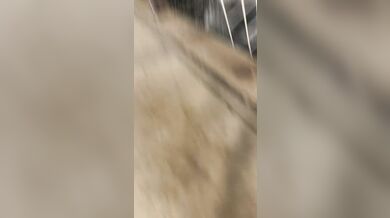 Ukázka toho, jak se nepokoušet dostat na loď