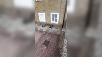 Parkour Fail #8
