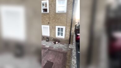 Parkour Fail #8