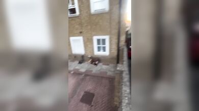 Parkour Fail #8